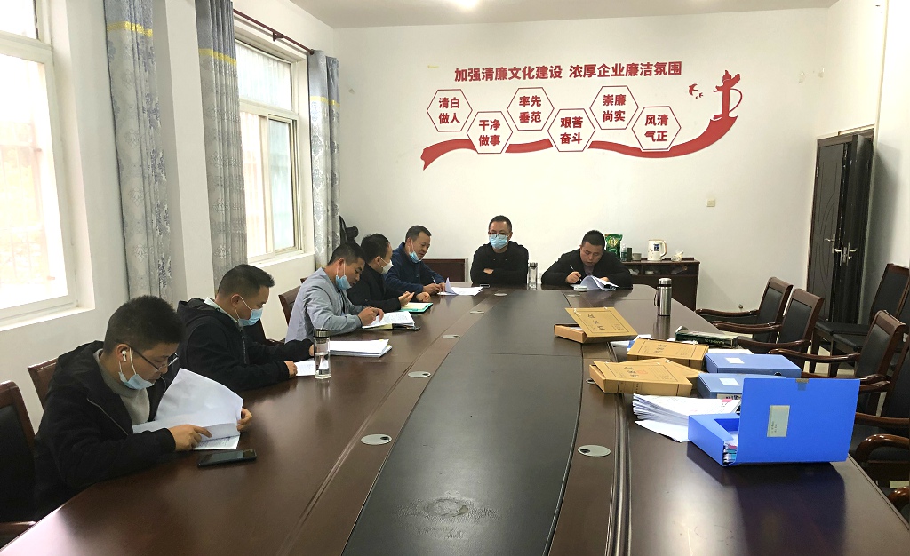 江夏區(qū)靈山工礦廢棄地復(fù)墾利用試點(diǎn)項(xiàng)目一期工程（類壤土噴播工程、主動(dòng)防護(hù)網(wǎng)及掛網(wǎng)栽植工程）竣工初步驗(yàn)收會(huì)議圓滿結(jié)束